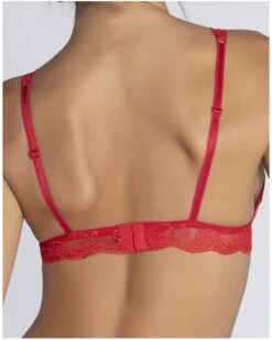 Soutien-gorge Triangle Lise Charmel Splendeur Soie (Splendeur Rouge) -Lingerie Belle soutien gorge triangle lise charmel splendeur soie splendeur rouge 3
