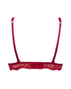 Soutien-gorge Triangle Lise Charmel Splendeur Soie (Splendeur Rouge) -Lingerie Belle soutien gorge triangle lise charmel splendeur soie splendeur rouge 5